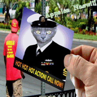 Chat commandant